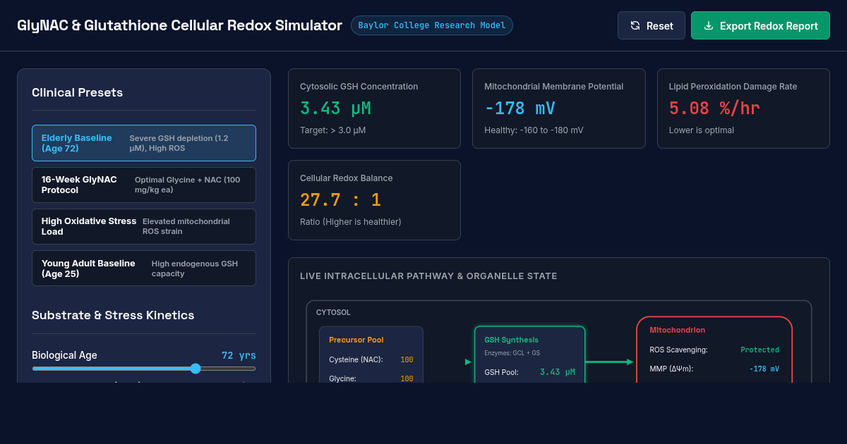 GlyNAC & Glutathione Cellular Redox Simulator preview