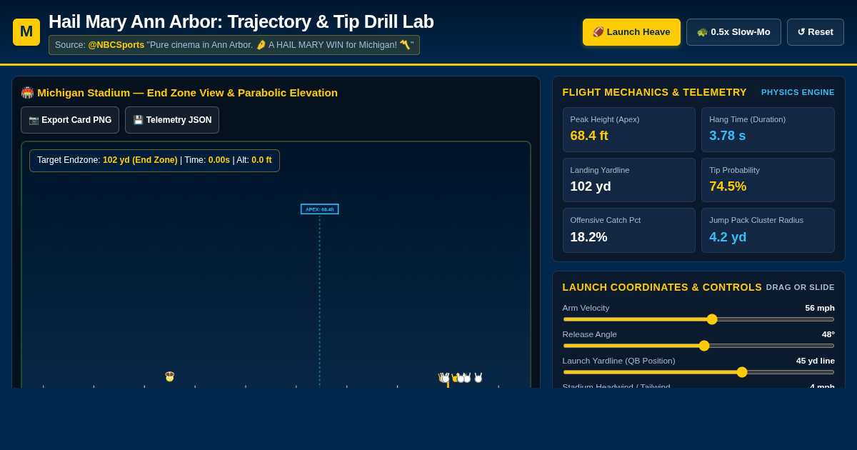 Hail Mary Ann Arbor: Interactive Play Laboratory & Trajectory Simulator preview