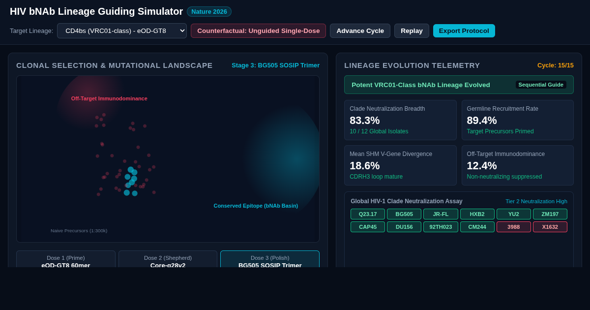 HIV bNAb Lineage Guiding Simulator preview