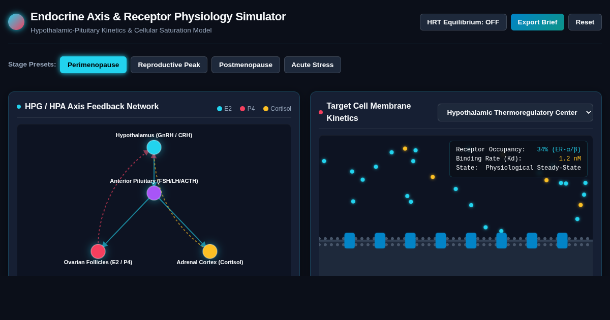 Endocrine Axis & Hormone Receptor Physiology Simulator preview