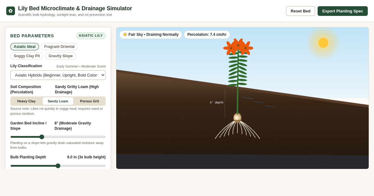 Lily Bed Drainage & Microclimate Simulator preview