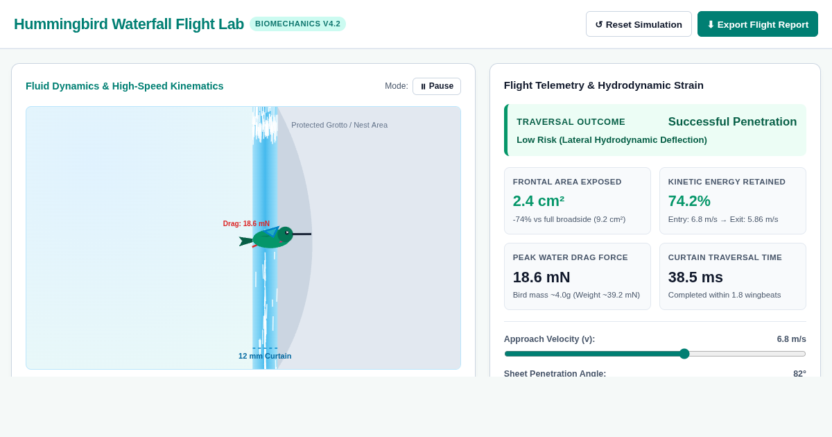 Hummingbird Waterfall Flight Biomechanics Lab preview