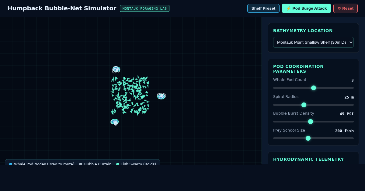 Humpback Bubble-Net Feeding Hydrodynamics Simulator preview