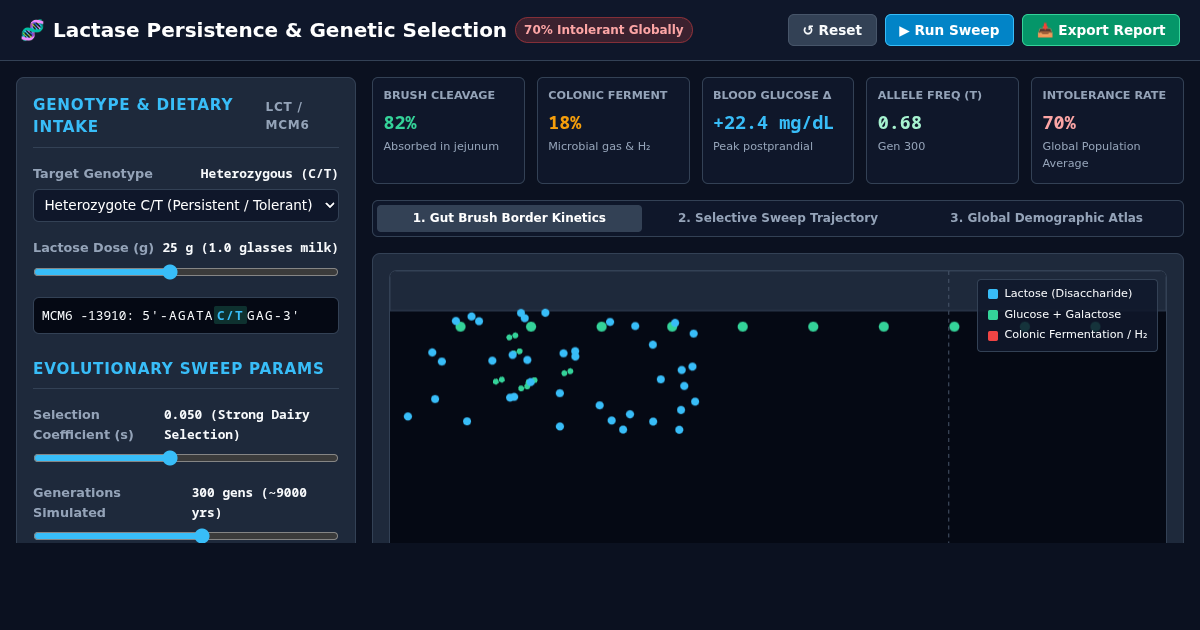 Lactase Persistence & Genetic Selection Simulator preview