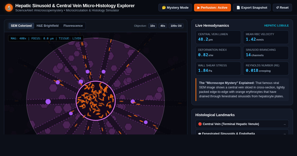 Hepatic Sinusoid & Central Vein Micro-Histology Explorer preview
