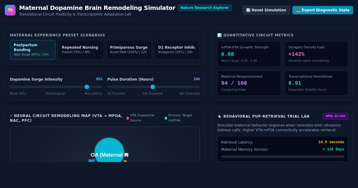 Maternal Dopamine Brain Remodeling Simulator preview