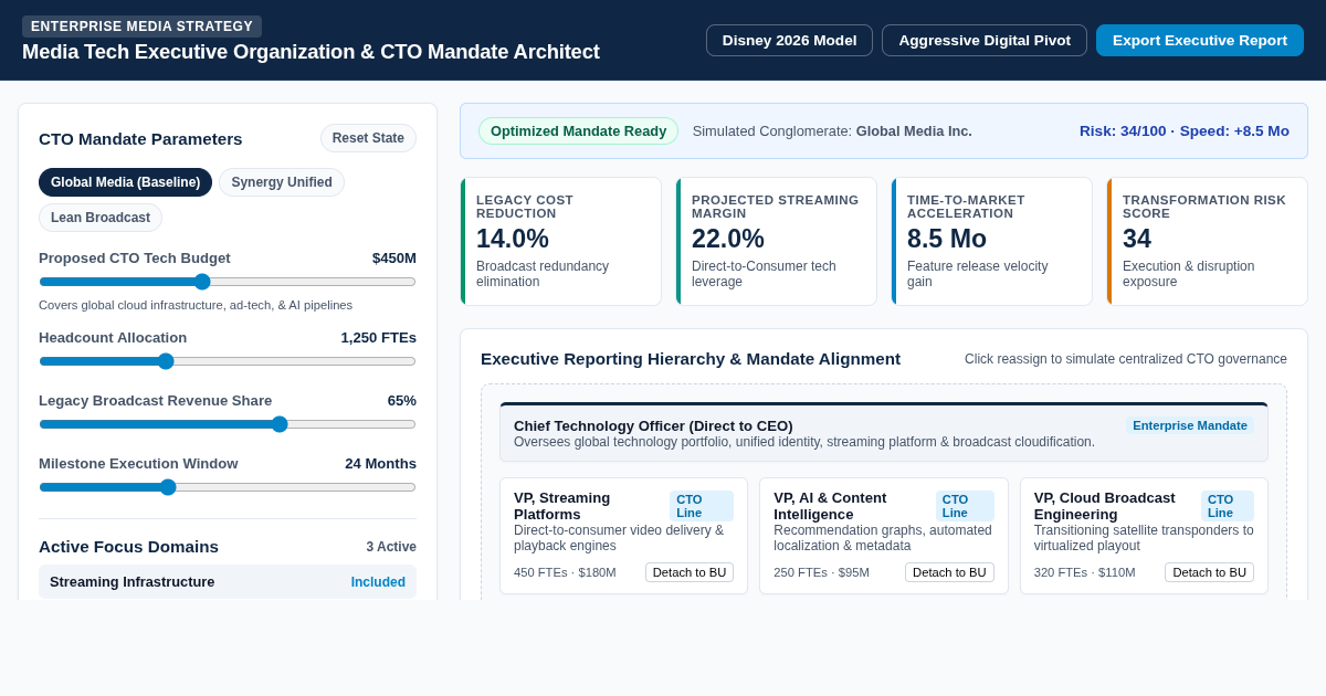 Media Tech Executive Organization & CTO Mandate Architect preview
