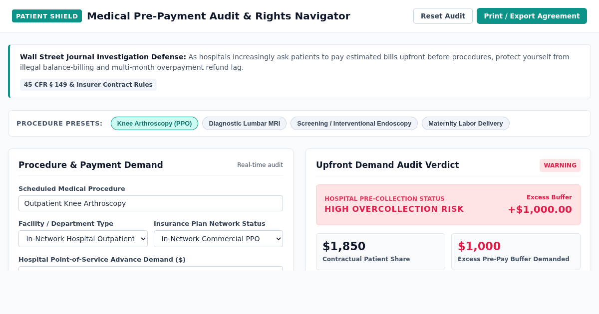 Medical Pre-Payment Audit & Patient Rights Navigator preview