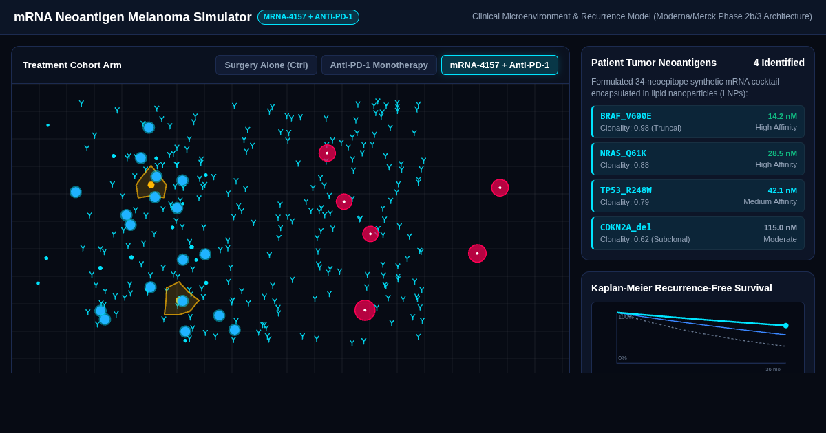 mRNA Neoantigen Melanoma Immunotherapy Simulator preview
