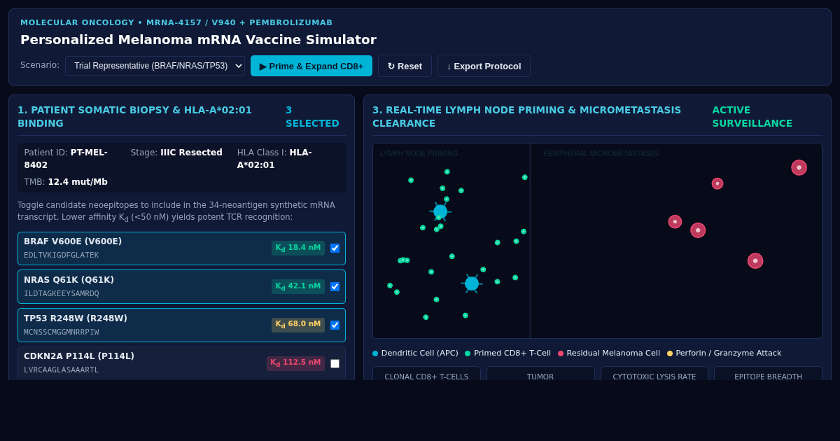 Personalized Melanoma mRNA Vaccine Interactive Pipeline & Trial Simulator preview