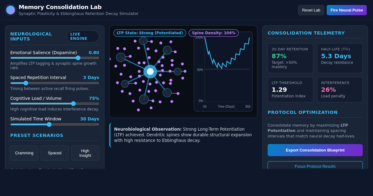 Memory Consolidation & Synaptic Plasticity Simulator preview