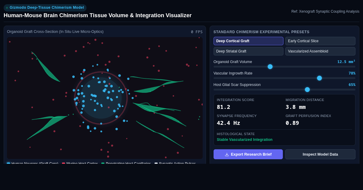 Human-Mouse Brain Chimerism Tissue Volume & Integration Visualizer preview