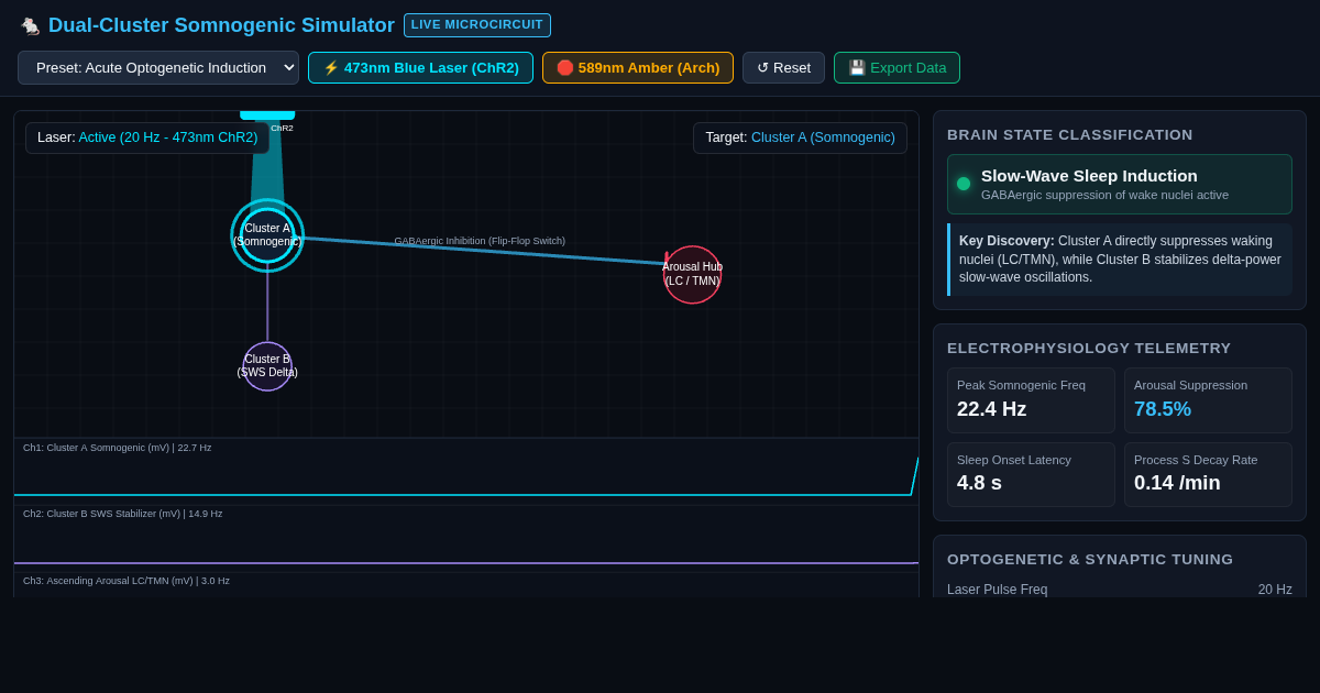 Mouse Sleep Drive Dual-Cluster Neural Circuit Simulator preview
