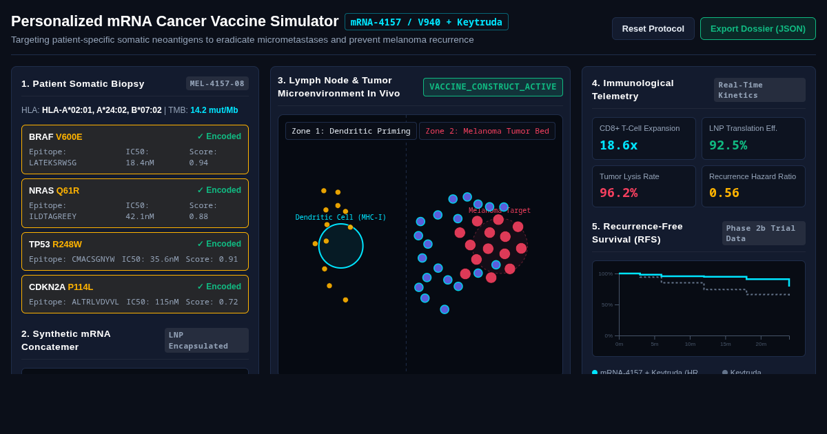 Personalized mRNA Cancer Vaccine Simulator | mRNA-4157 & Keytruda Mechanism preview