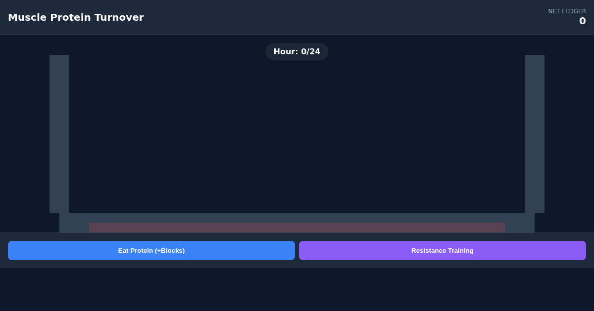 Muscle Protein Turnover Simulator preview
