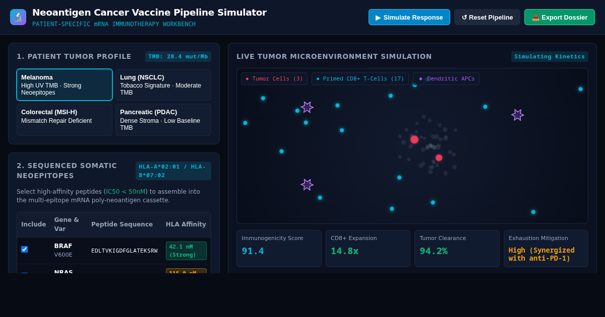 Neoantigen Cancer Vaccine Pipeline Simulator preview