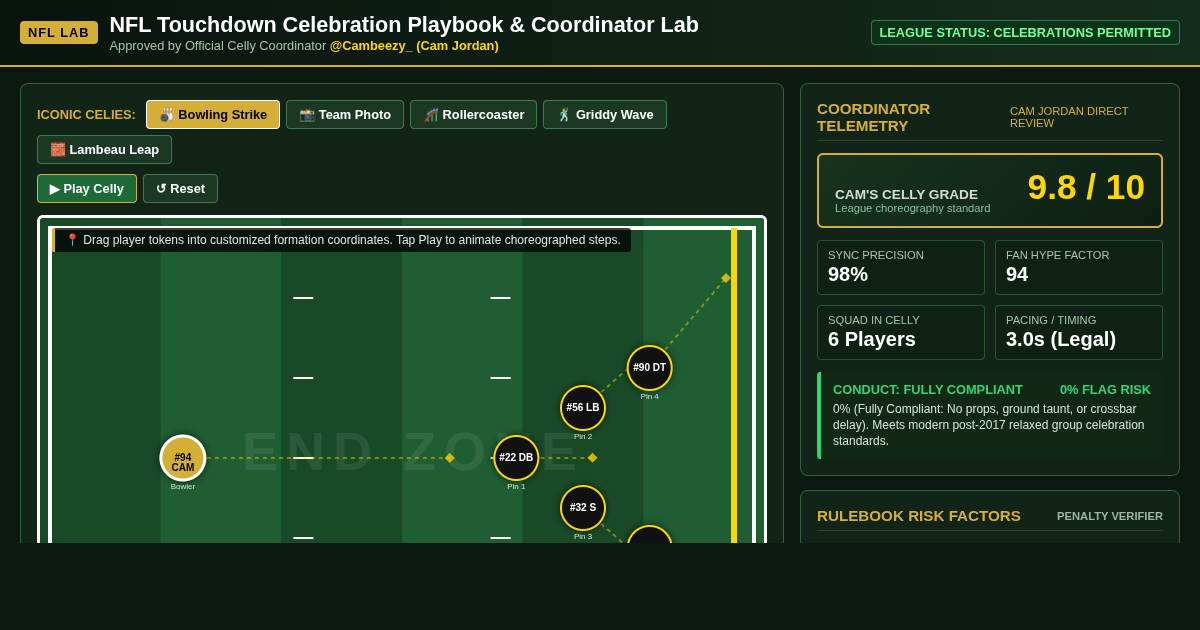 NFL Touchdown Celebration Playbook & Coordinator Lab preview