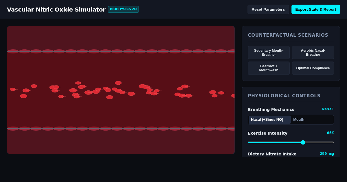 Vascular Nitric Oxide Bio-Dynamics Simulator preview