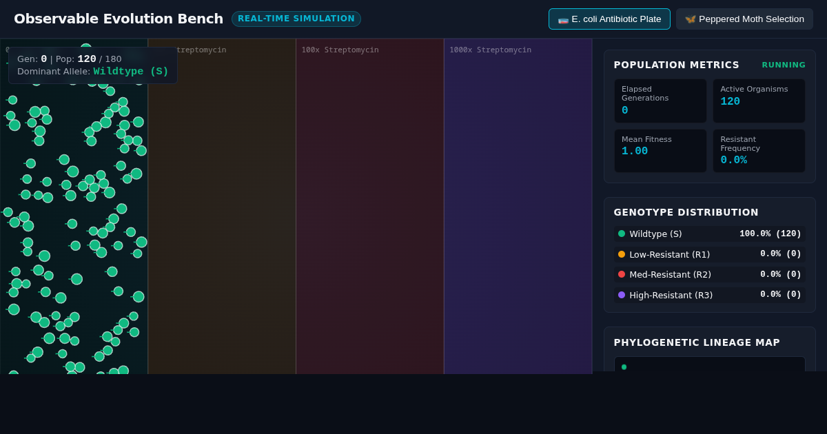Observable Evolution Bench: Real-Time Selection & Mutation Simulator preview