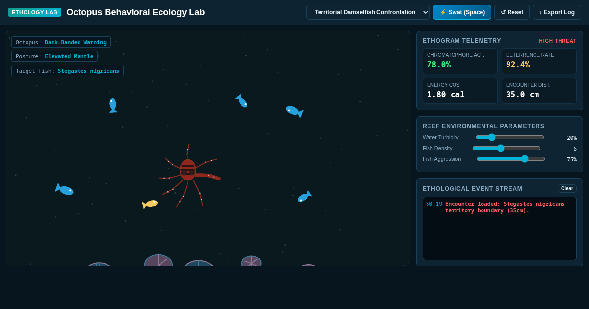 Octopus Behavioral Ecology Lab preview