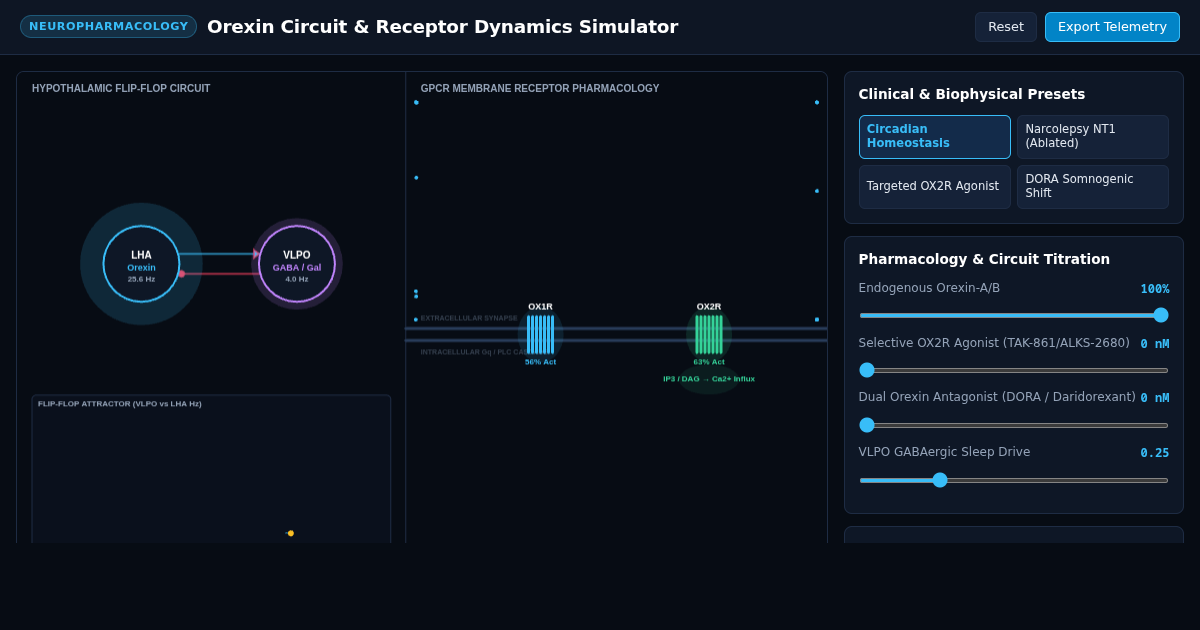 Orexin Circuit & Receptor Dynamics Simulator preview