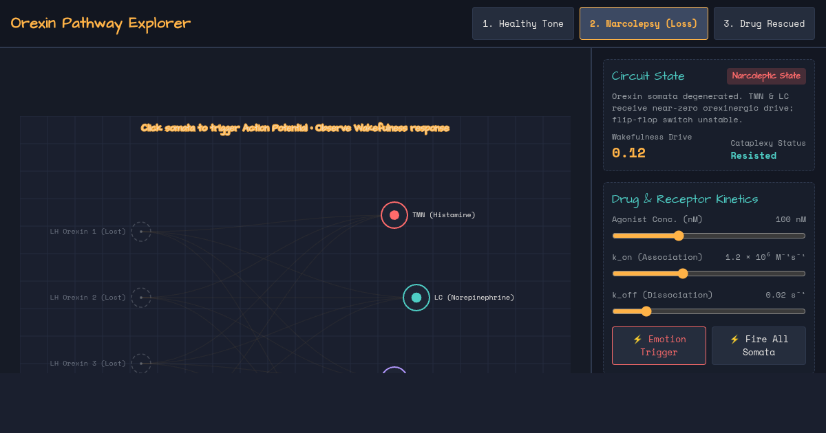 Orexin Pathway Explorer: Narcolepsy Drug Mechanism preview