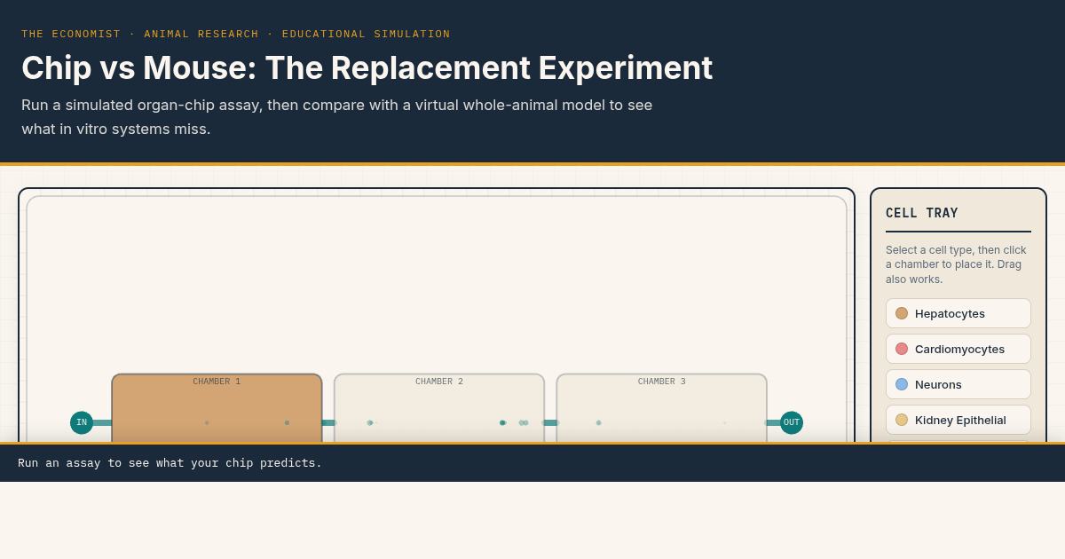 Chip vs Mouse: The Replacement Experiment preview
