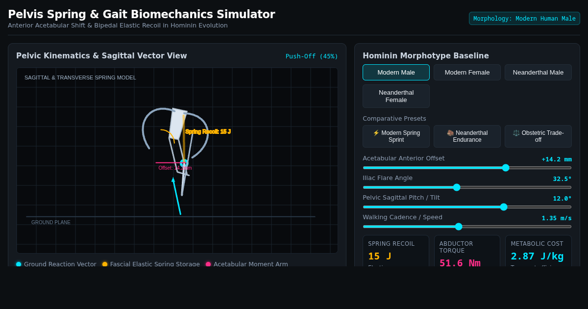 Pelvis Spring & Gait Biomechanics Simulator preview