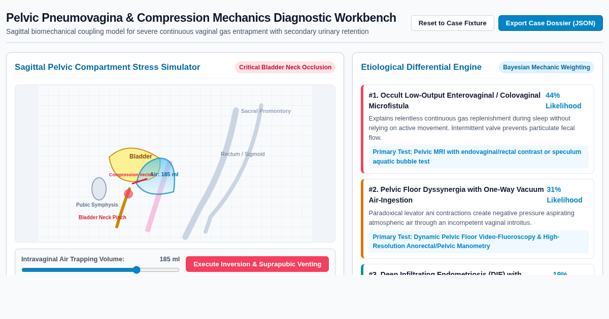 Pelvic Pneumovagina & Compression Mechanics Diagnostic Workbench preview