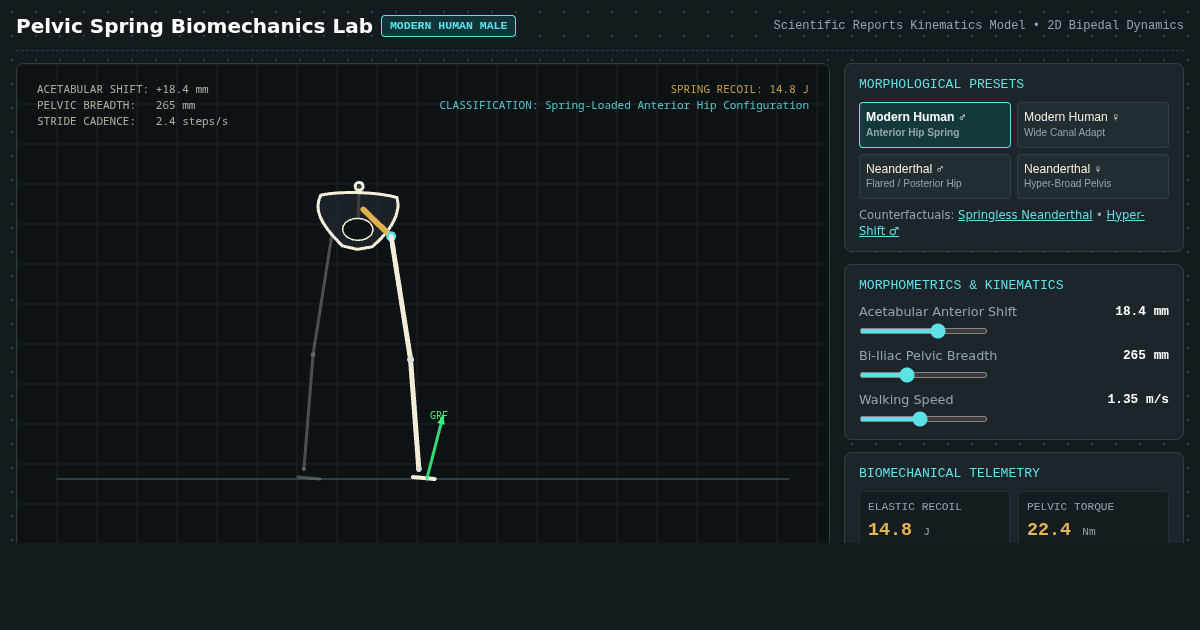 Pelvic Spring Biomechanics Lab: Human vs Neanderthal Gait preview