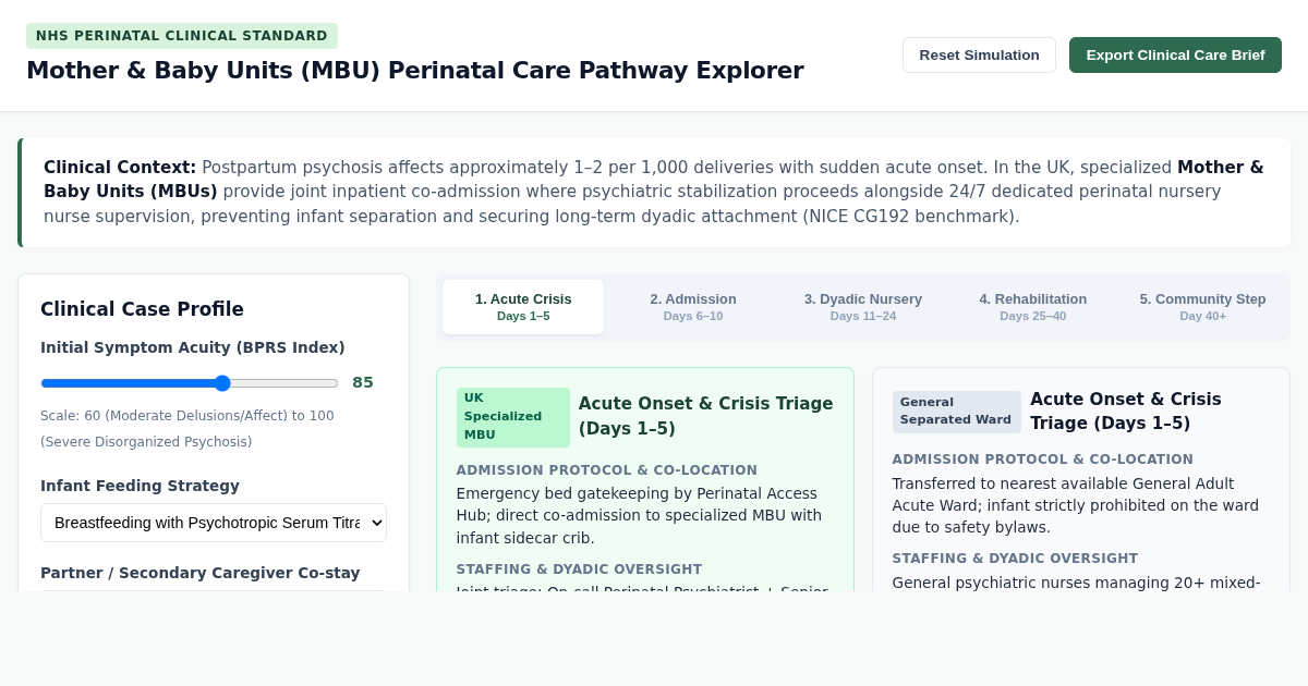 Mother & Baby Units (MBU) Perinatal Care Pathway Explorer preview