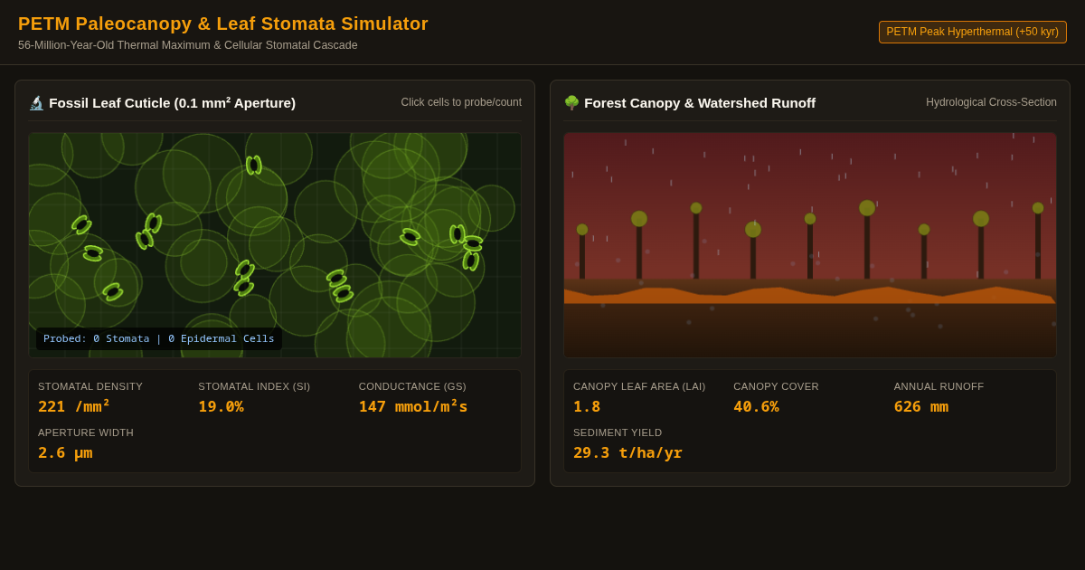 PETM Paleocanopy & Leaf Stomata Simulator preview