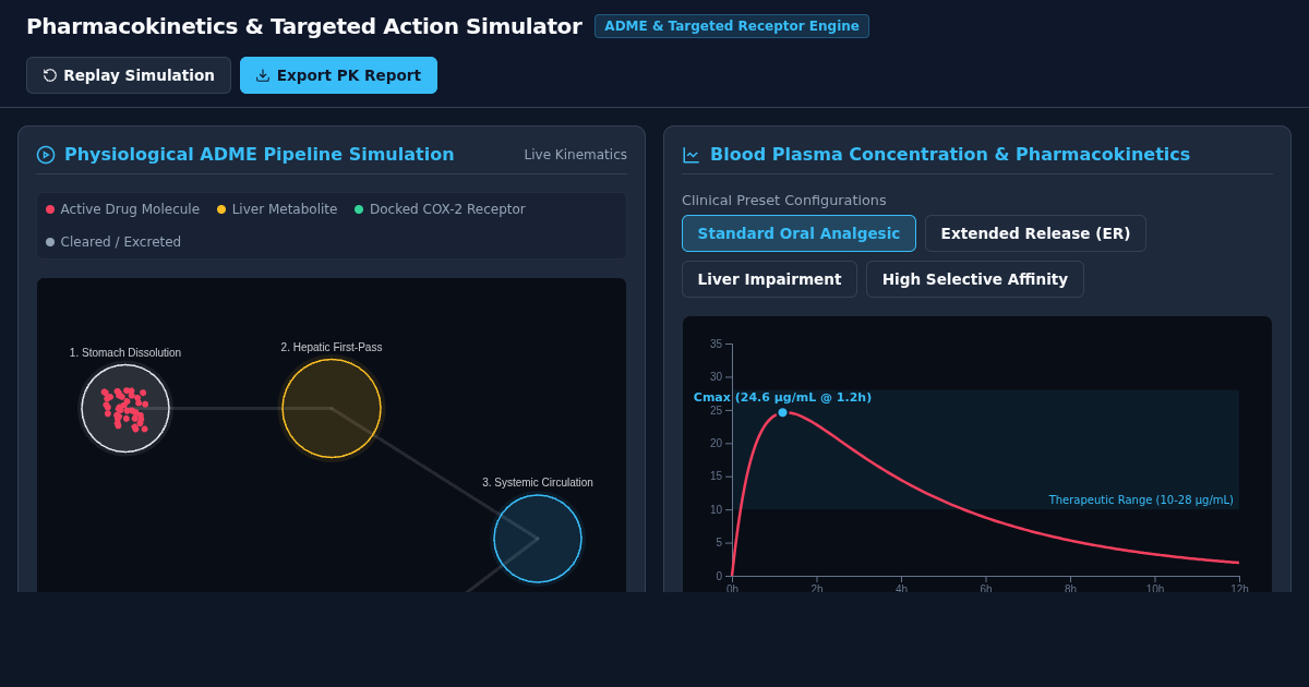 Pharmacokinetics & Targeted Action Simulator: How Medicines Work preview