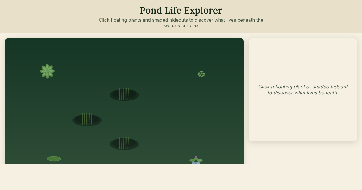 Pond Life Explorer — Discover What Lives Under Floating Plants preview