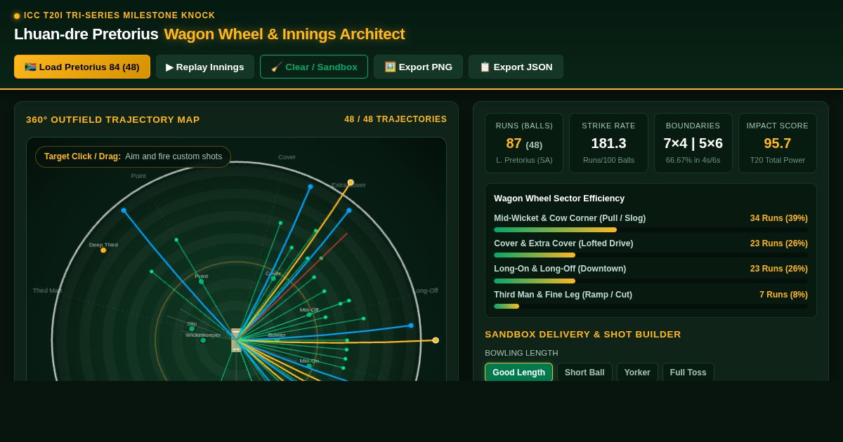 Lhuan-dre Pretorius T20 Wagon Wheel & Innings Architect preview