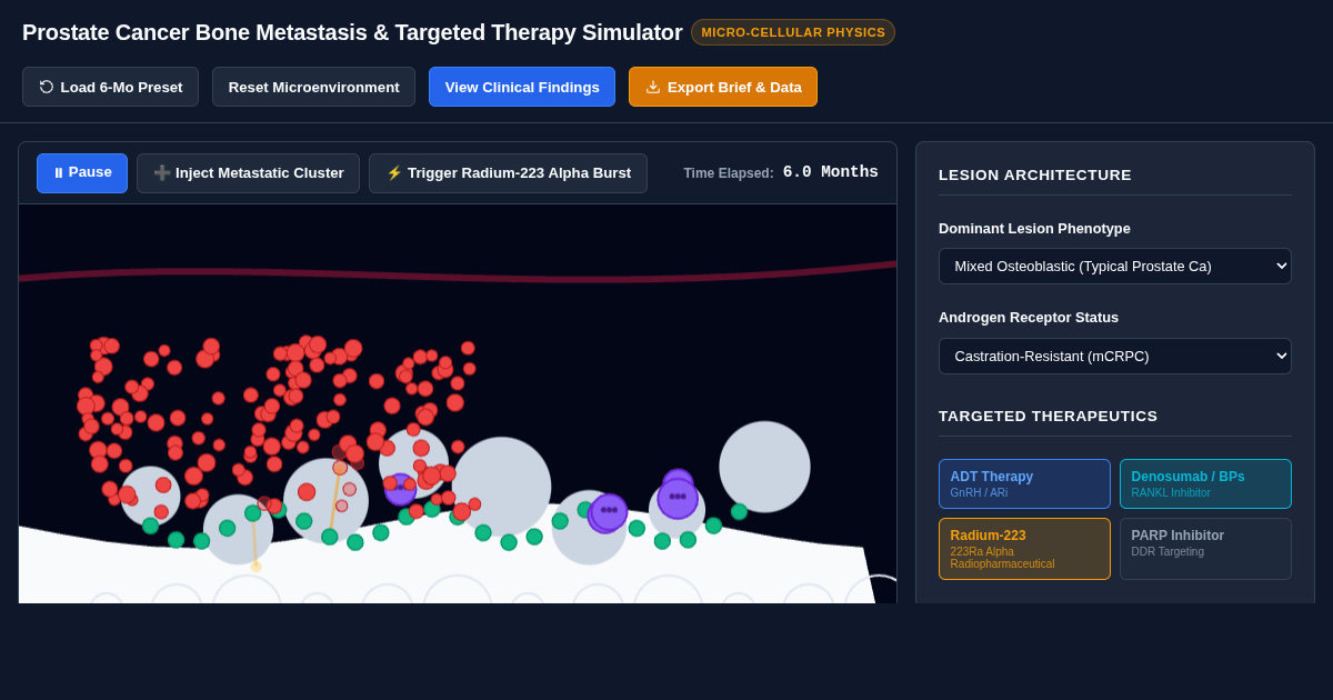 Prostate Cancer Bone Metastasis & Targeted Therapy Simulator preview