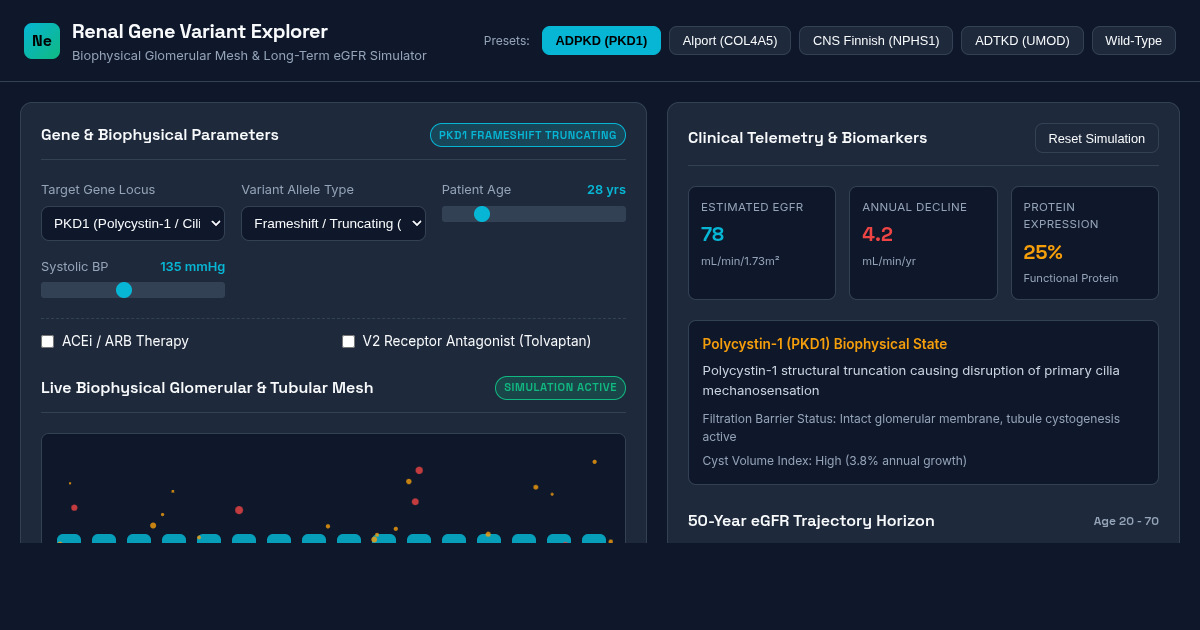 Renal Gene Variant Explorer & Glomerular Filtration Simulator preview