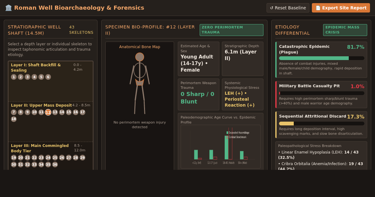 Roman Well Burial Bioarchaeology & Trauma Forensics Workbench preview