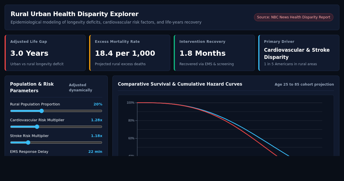 Rural Urban Health Disparity Explorer preview
