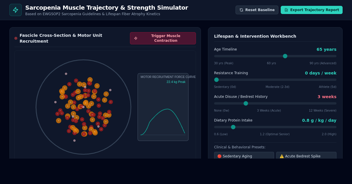 Sarcopenia Muscle Trajectory & Strength Simulator preview