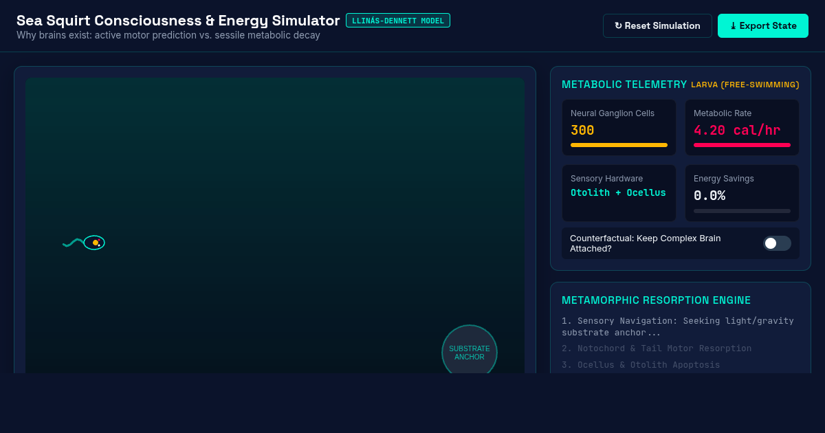 Sea Squirt Consciousness & Energy Simulator preview