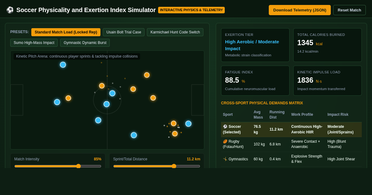 Soccer Physicality and Exertion Index Simulator preview