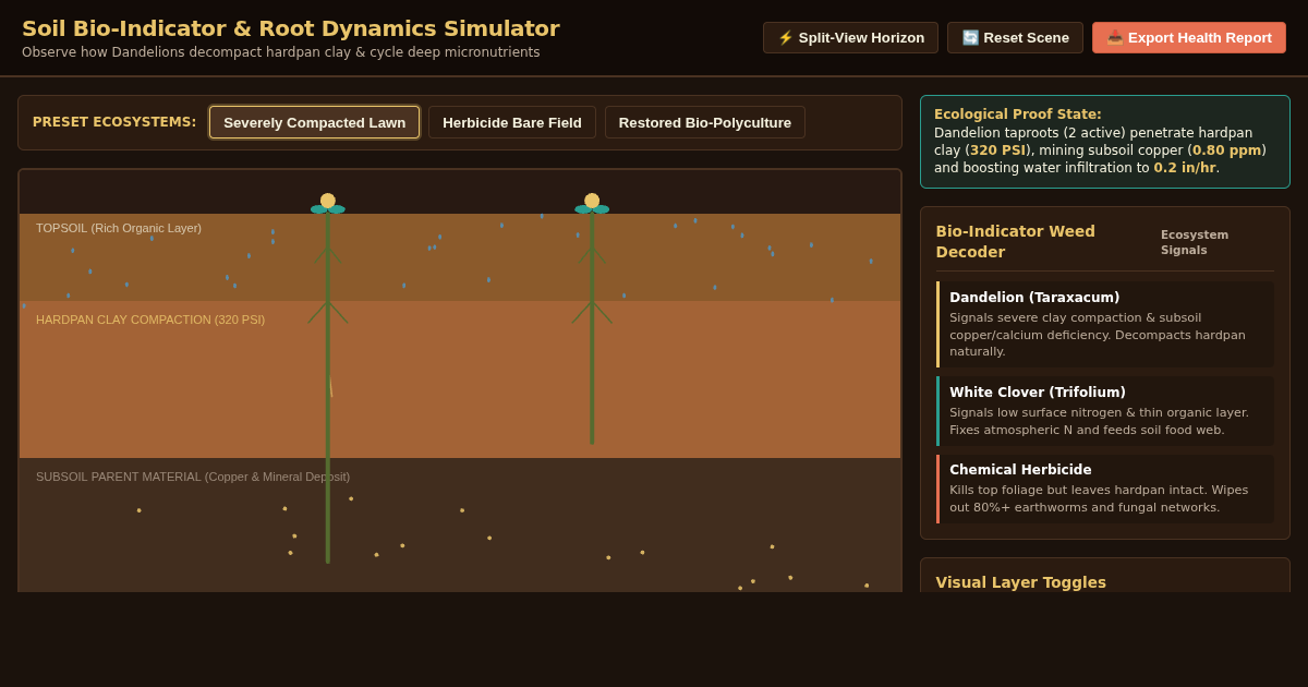 Soil Bio-Indicator & Root Dynamics Simulator preview