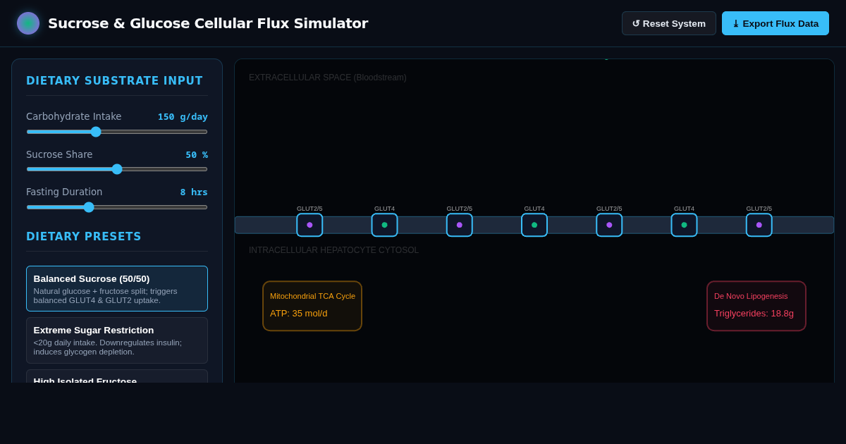 Sucrose & Glucose Cellular Metabolism Flux Simulator preview