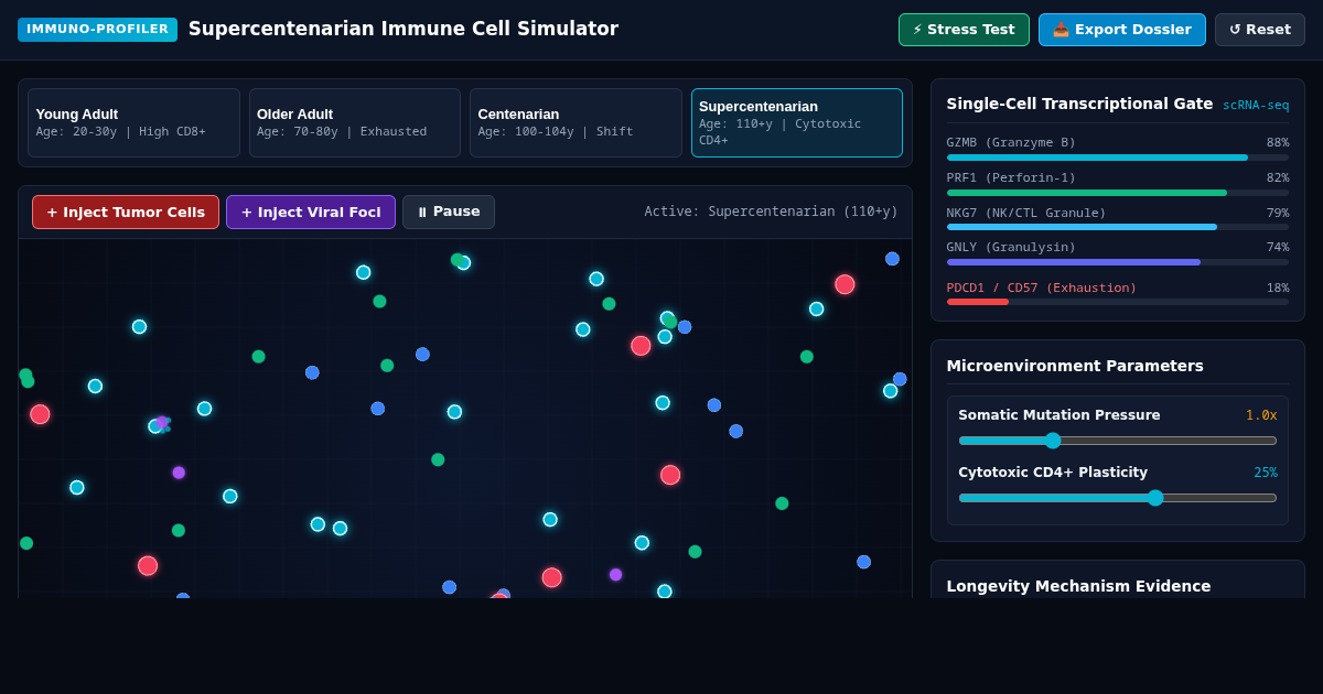 Supercentenarian Immune Cell Profiler | Cytotoxic CD4+ T-Cell Dynamics preview
