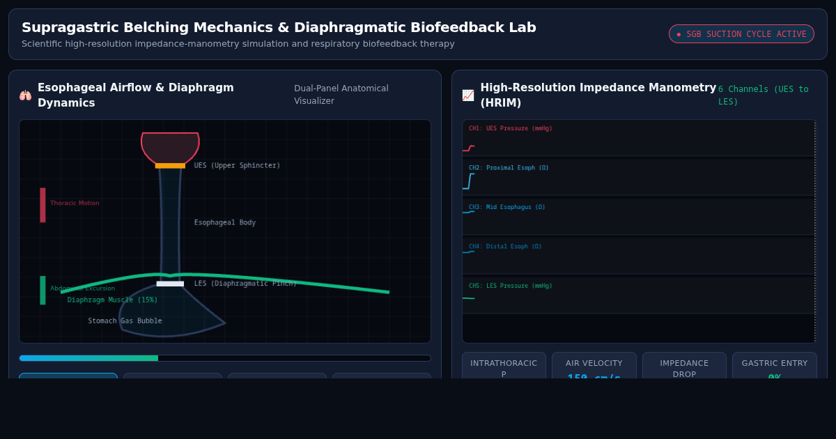 Supragastric Belching Mechanics & Diaphragmatic Biofeedback Lab preview