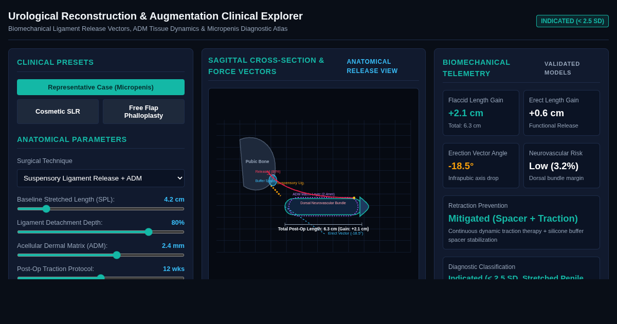 Urological Reconstruction & Augmentation Clinical Explorer preview