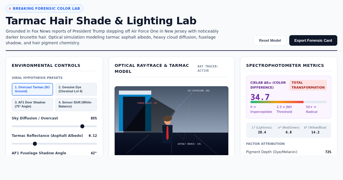 Tarmac Hair Shade & Lighting Lab preview