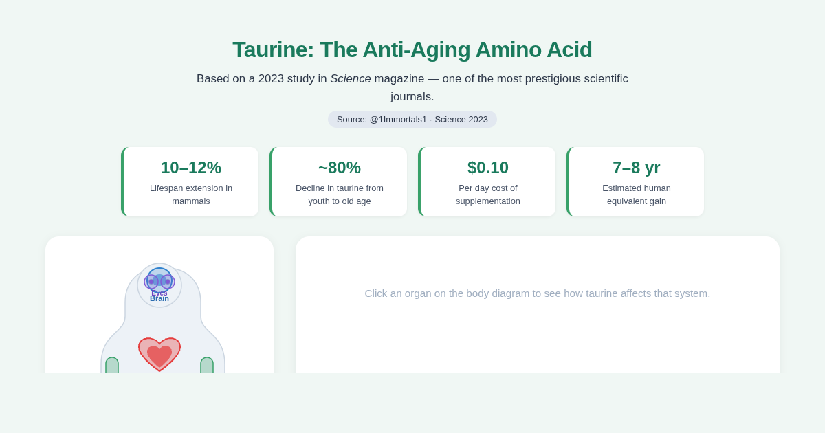 Taurine: The Anti-Aging Amino Acid preview