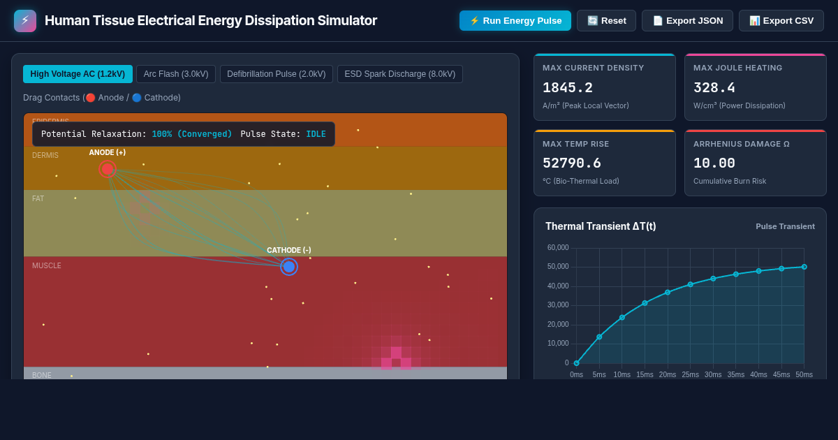 Human Tissue Electrical Energy Dissipation Simulator preview